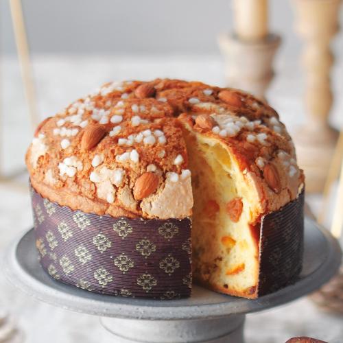 パネトーネジブレー