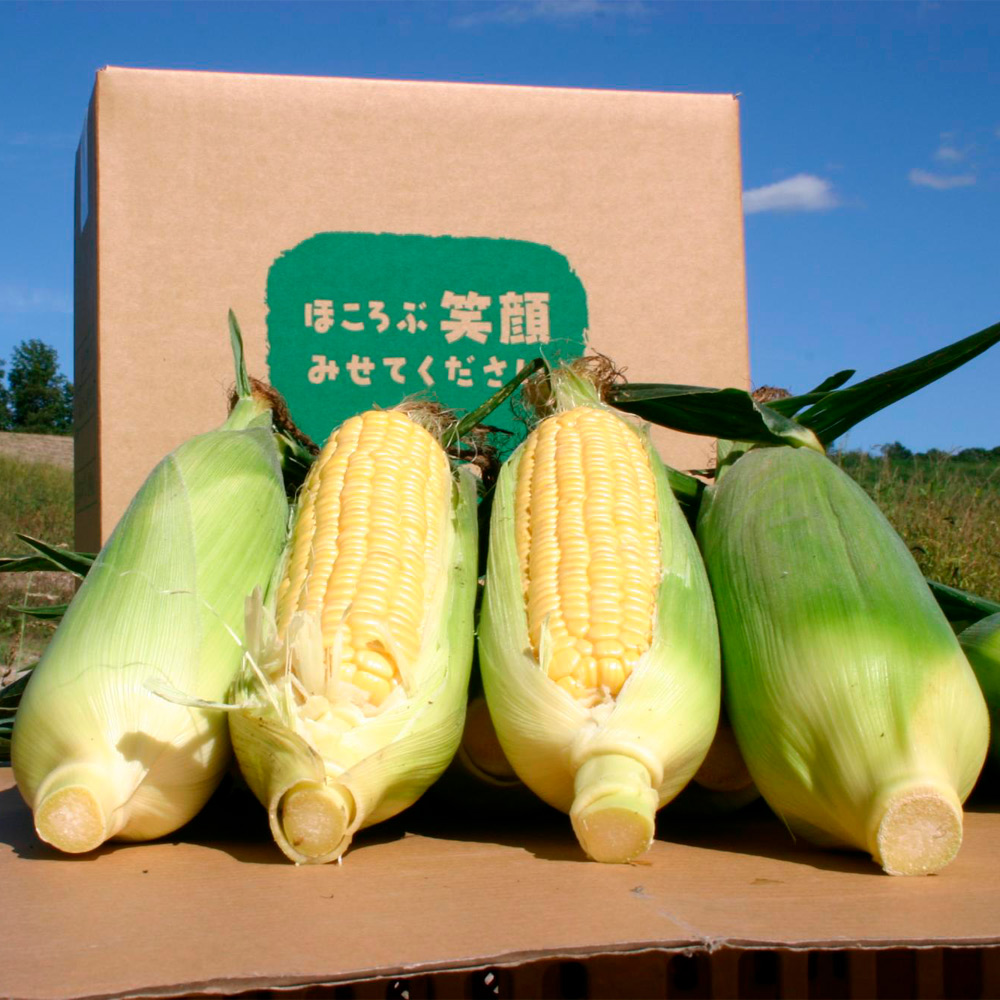 <オーガニックフードプラン>北海道美瑛産 ほしつぶコーン/雪の妖精 各8本セット
