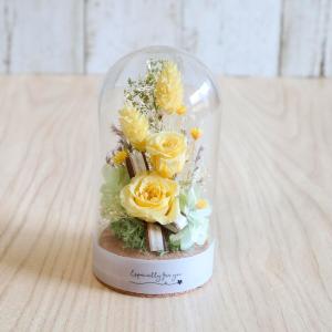 カムアップローゼスS 11輪 ブライトレッド | 商品詳細 | 高島屋