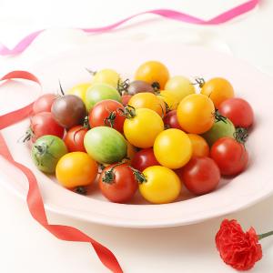 野菜 フルーツ 野菜 フード スイーツ 高島屋オンラインストア