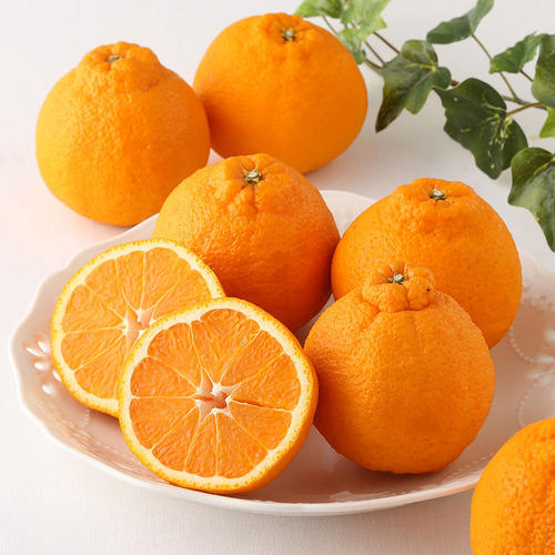 【母の日】熊本県産デコポン（8個入）