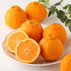 【母の日】熊本県産デコポン（8個入）