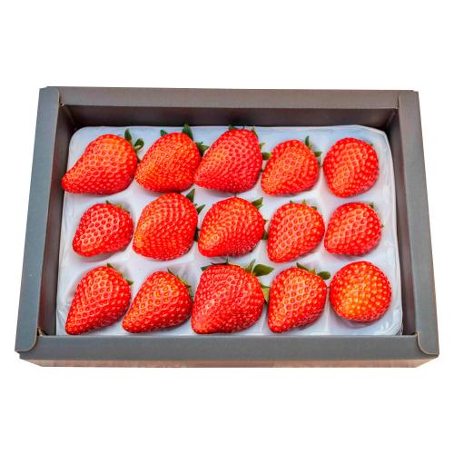 プレミアム贈答用いちご