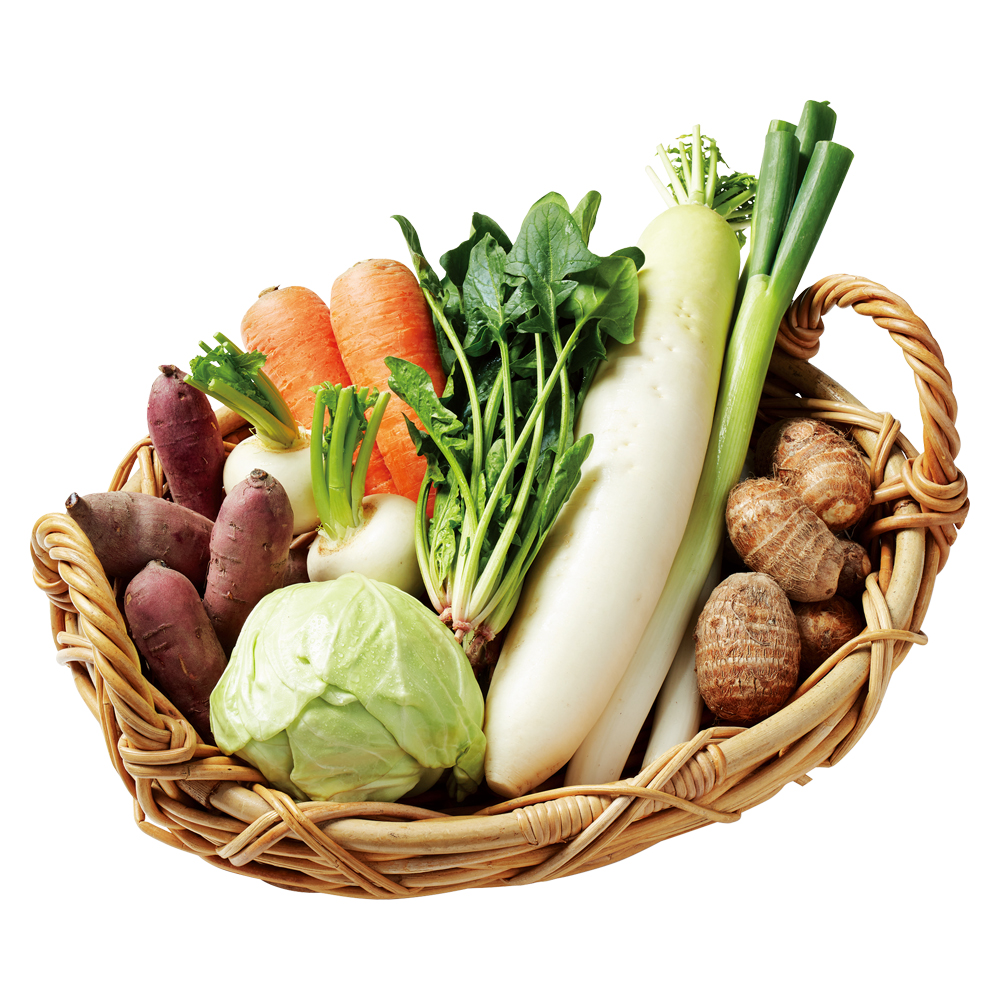 〈高知・山下農園〉野菜セット（栽培期間中農薬・化学肥料不使用）【最適な時期に収穫し、順次発送予定】