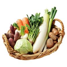 〈高知・山下農園〉野菜セット（栽培期間中農薬・化学肥料不使用）【最適な時期に収穫し、順次発送予定】