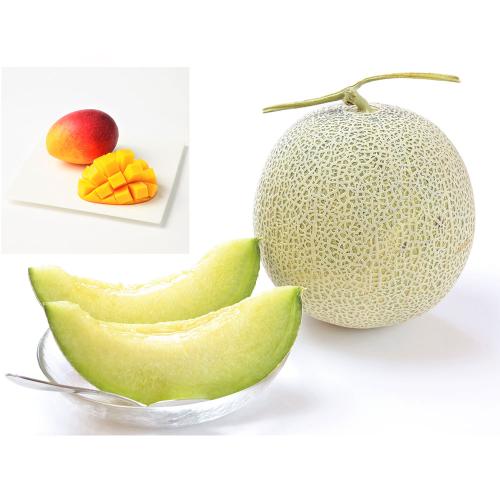 【父の日】＜西澤商店＞宮崎県産完熟マンゴー＆静岡県産マスクメロン