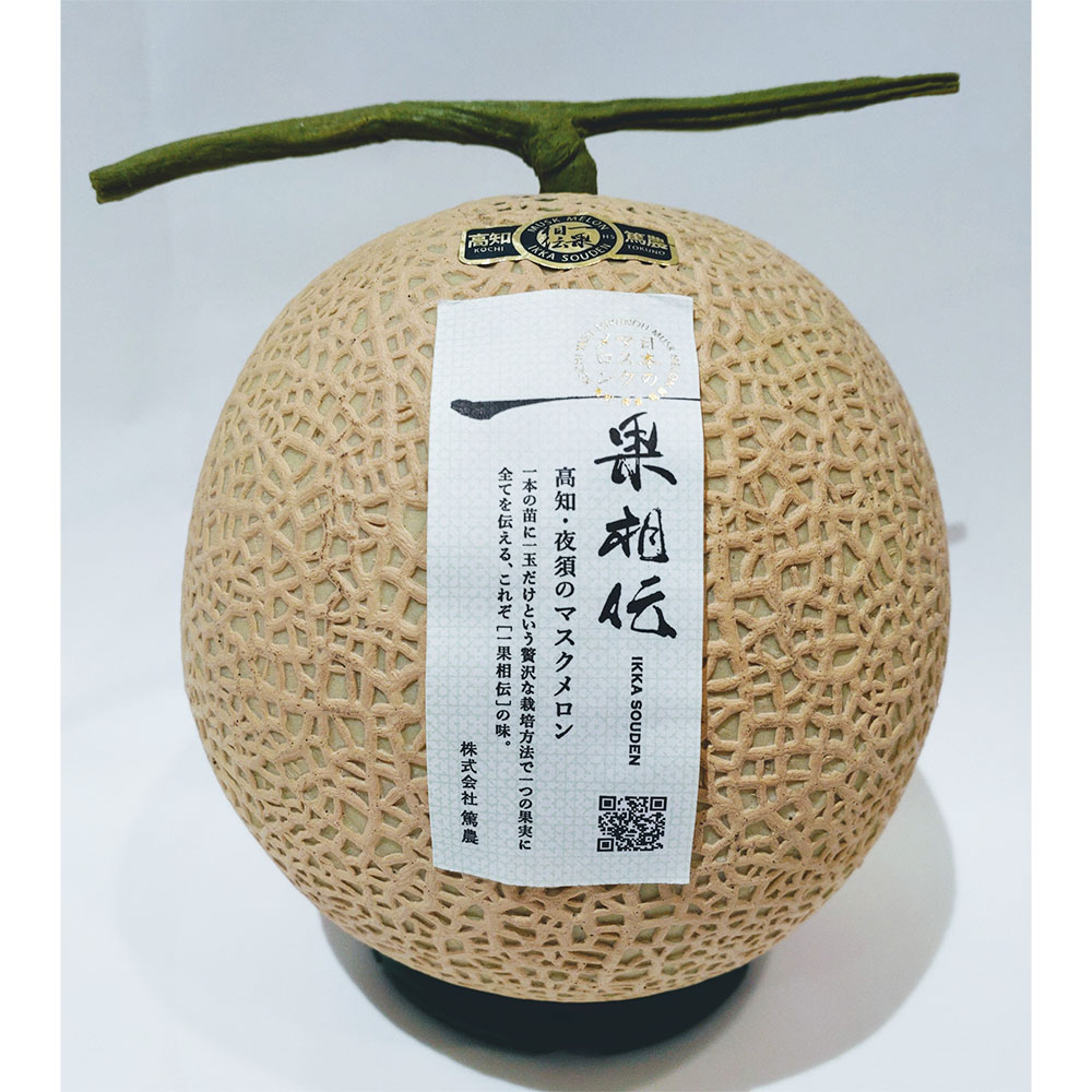 【父の日】高知県産マスクメロン「一果相伝」