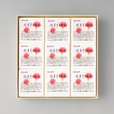 【母の日】母の日P 水羊羹9個入