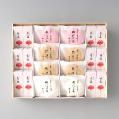 【母の日】母の日P 羊羹・最中詰合せ6号