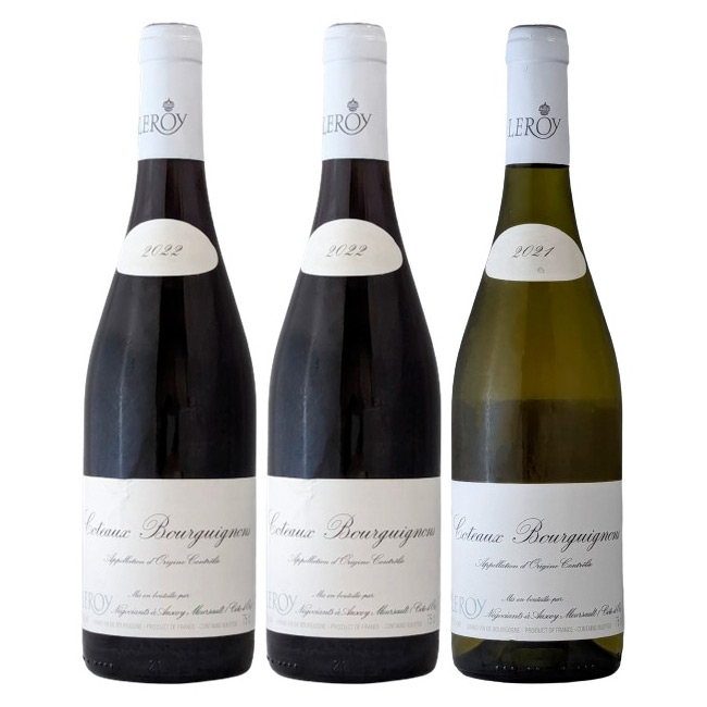 高島屋ワインギフトLEROY 2021年ワイン2本セット ルロワ ルロア