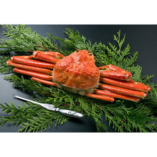 本ズワイ姿800g カニスプーン付