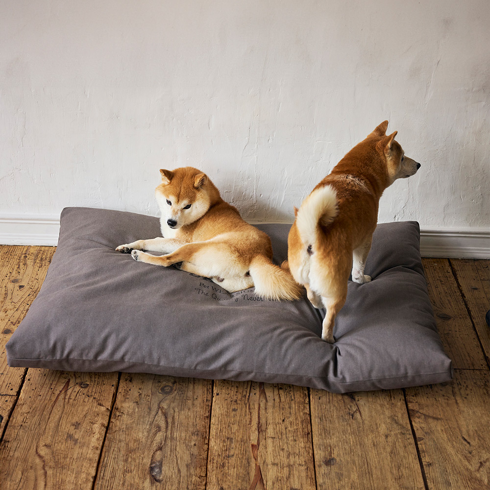 コージーベッド