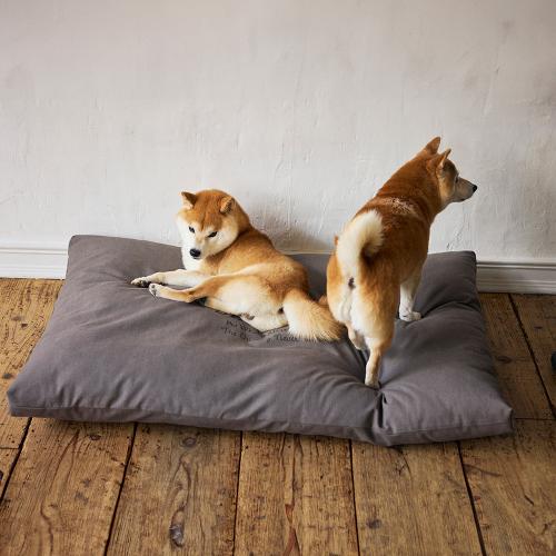 コージーベッド