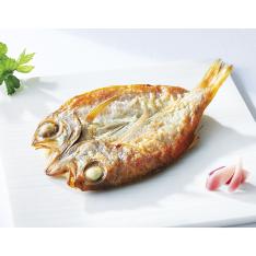 〈熱海・あをきのひもの本店〉ひもの詰合せ