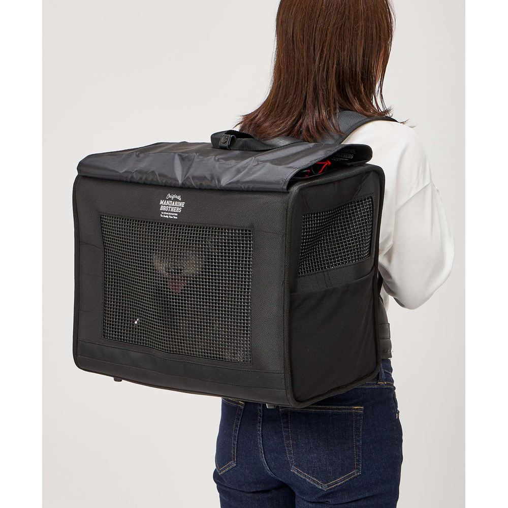 ブリクストンキャリーバックパック ワイド M→L