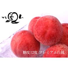 【収穫状況に応じ、順次発送予定】JAふえふき一宮 糖度12度プレミアム白凰