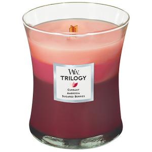 Aesop プトレミー アロマティック キャンドルの通販 | コスメ