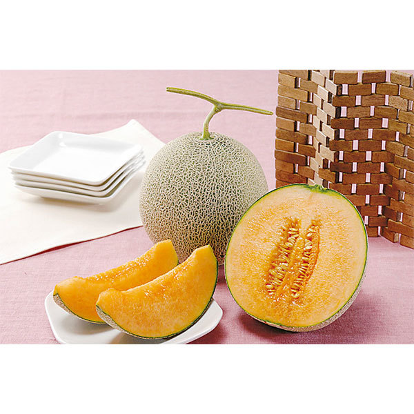 北海道夕張メロン良 1 6kg 2l 2玉 商品詳細 高島屋オンラインストア