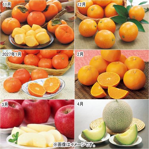 【定期便】こだわりフルーツ（11-4月届け）