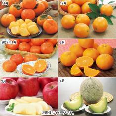 【定期便】こだわりフルーツ（11-4月届け）