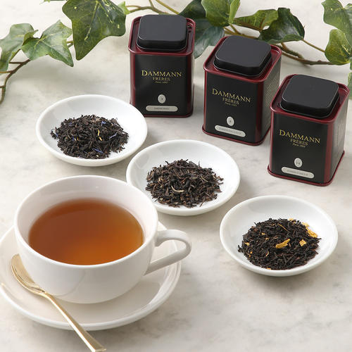紅茶　ジャルダンブルー＆ダージリン＆ポムダムール30g缶詰合せ