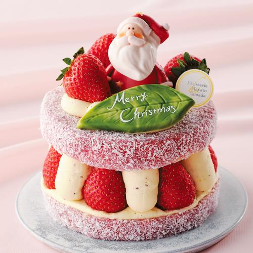 【店頭受取／柏店】ベリートンプソン[E-13]【12月24日（水）・25日（木）】