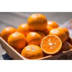 カラマンダリン 3kg