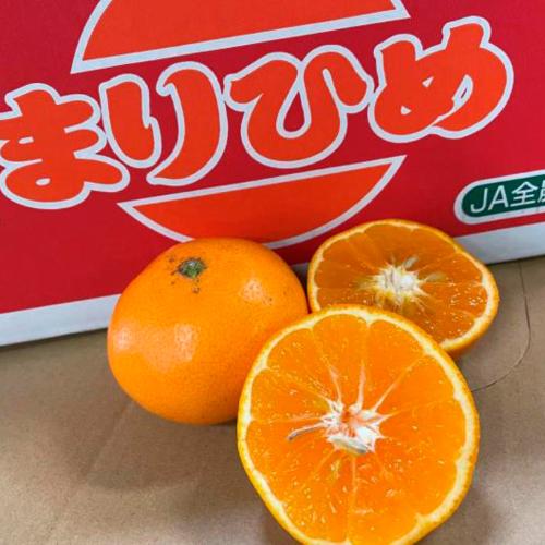 愛媛県産まりひめ 3kg
