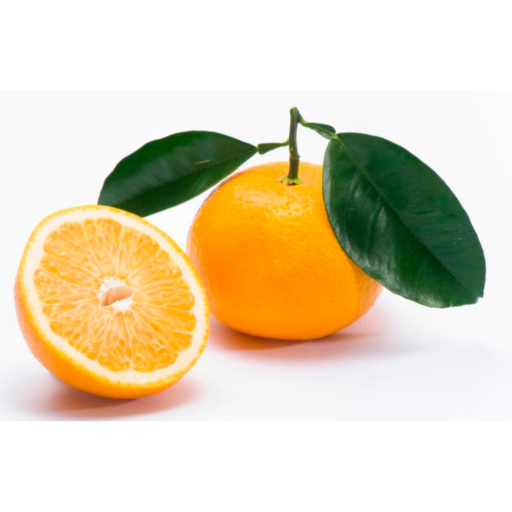 木成り八朔 1.8kg