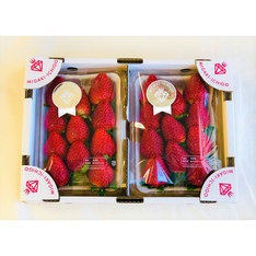 【ホワイトデー】ミガキイチゴ シルバー