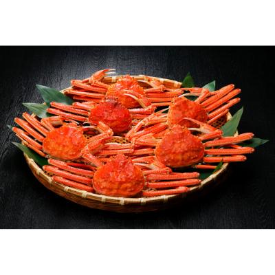 ＜エスケイフーズ＞北海道産 ボイルおおずわいがに姿 3kg（6～8尾）