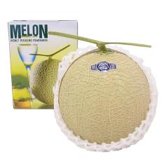 【母の日】静岡県産 マスクメロン1個（母の日掛け紙付）