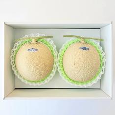 【母の日】静岡県産 マスクメロン2個（母の日掛け紙付）