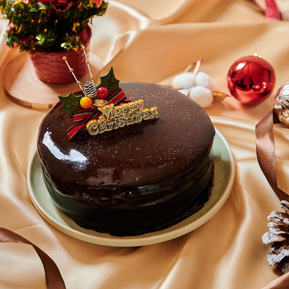 クリスマスのチョコレートケーキ5号 商品詳細 高島屋オンラインストア