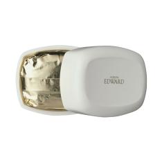 アルビオン エドワード