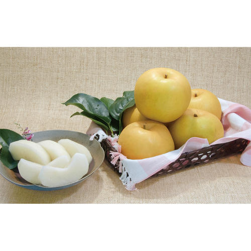 東郷梨選果場 新甘泉（5kg／3Lサイズ　14玉）