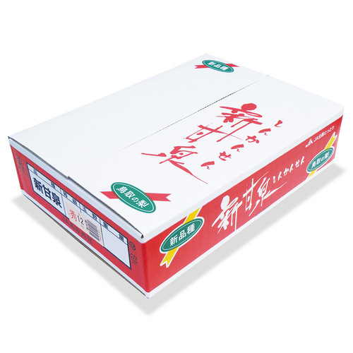 大山梨選果場 新甘泉（3kg／3～4Lサイズ　8～9玉）