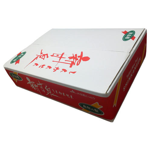琴浦梨選果場 新甘泉（5kg／4～5Lサイズ　10～12玉）