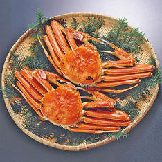 松葉がに　約450g×2枚