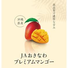 【最適な時期に収穫し、順次発送予定】＜JAおきなわ＞糖度15度以上プレミアムマンゴー
