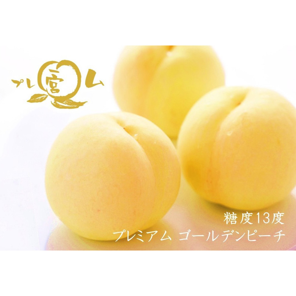 【最適な時期に収穫し、順次発送予定】＜JAふえふき一宮＞糖度13度プレミアムゴールデンピーチ