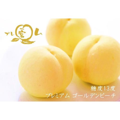 【最適な時期に収穫し、順次発送予定】＜JAふえふき一宮＞糖度13度プレミアムゴールデンピーチ
