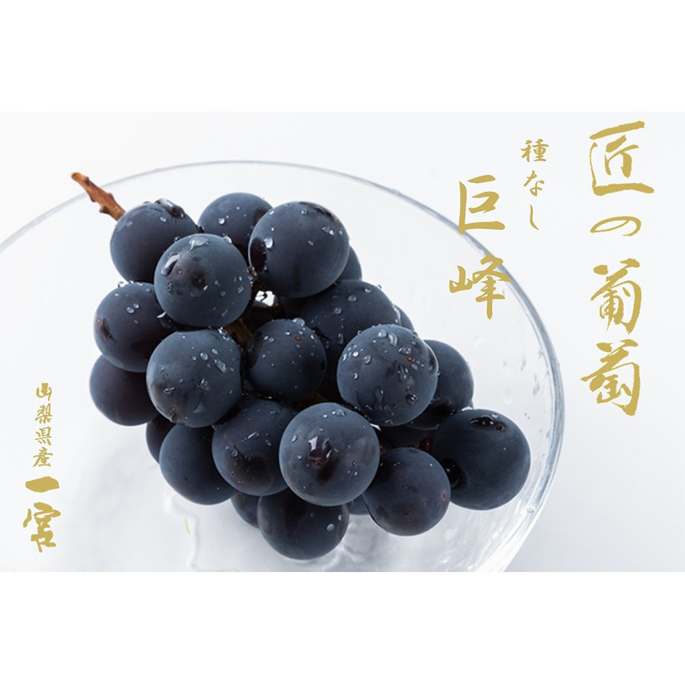 【最適な時期に収穫し、順次発送予定】＜JAふえふき一宮＞種なし巨峰
