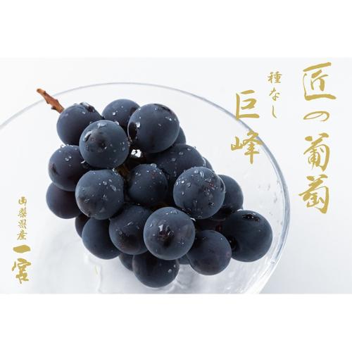 【最適な時期に収穫し、順次発送予定】＜JAふえふき一宮＞種なし巨峰