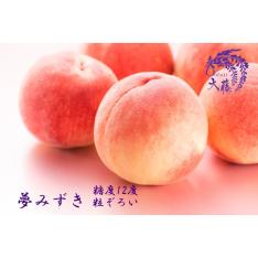 【最適な時期に収穫し、順次発送予定】＜JAフルーツ山梨大藤＞糖度12度 夢みずき「粒ぞろい」