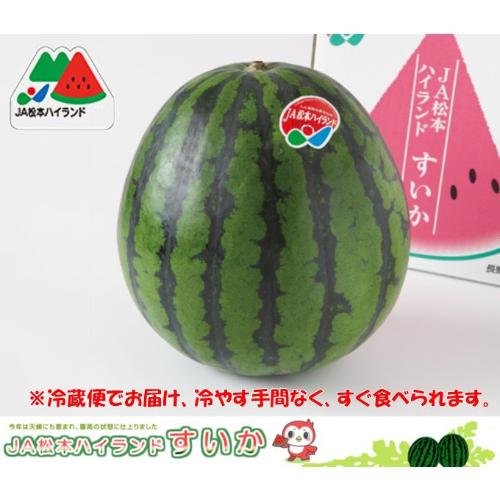 【最適な時期に収穫し、順次発送予定】＜JA松本ハイランド＞糖度11度以上 極上大玉西瓜