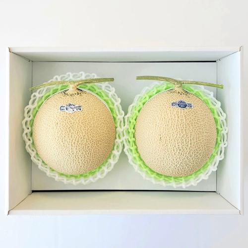 【父の日】静岡県産マスクメロン2個（父の日掛け紙付）