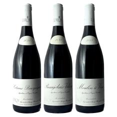 メゾン ルロワ 赤ワイン3本セット