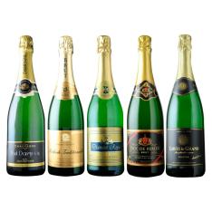 シャンパーニュ入り フランス産スパークリングワイン5本セット