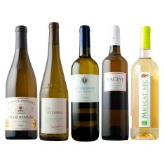 品種の個性を楽しむ フランス産単一品種白ワイン5本セット